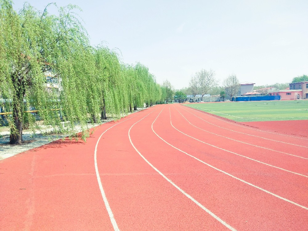 学校操场柳树林