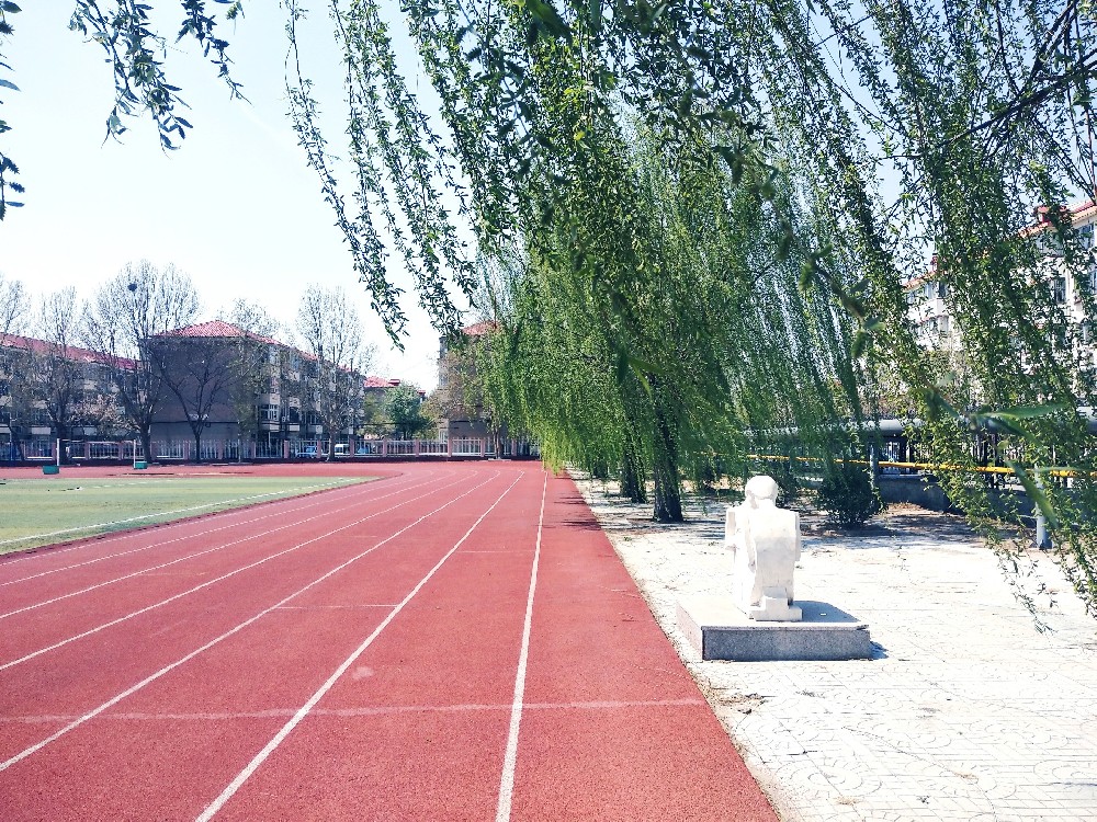 学校操场跑道